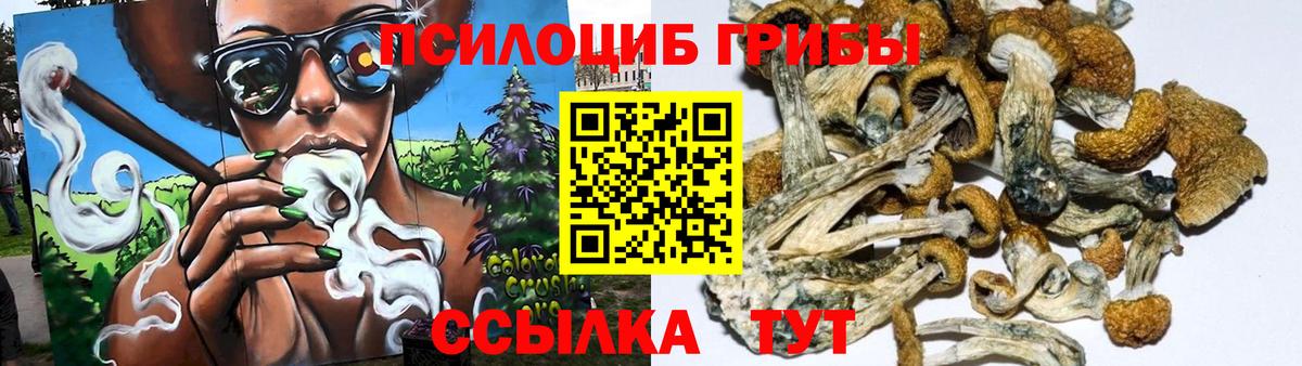 Белгород  где найти   Вход с VPN  Псилоцибиновые грибы MAGIC MUSHROOMS 